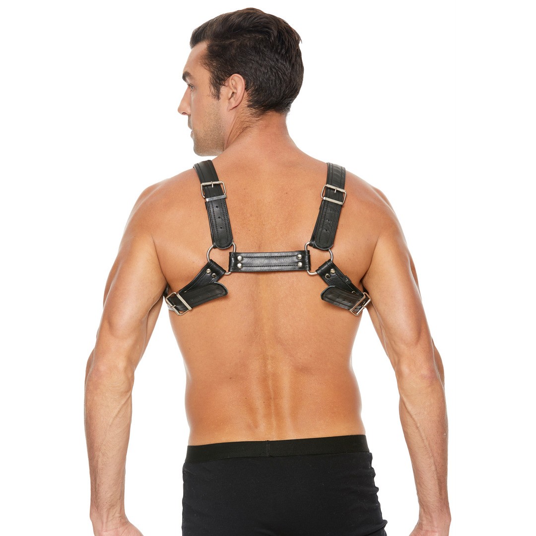 LEATHER BULLDOG HARNESS WITH BUCKLES - S/M