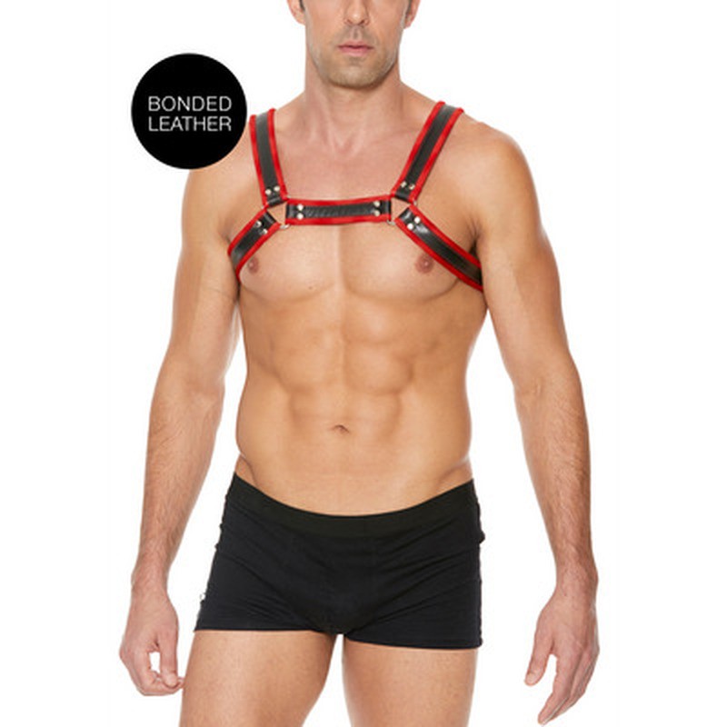 LEATHER BULLDOG HARNESS WITH BUCKLES - L/XL