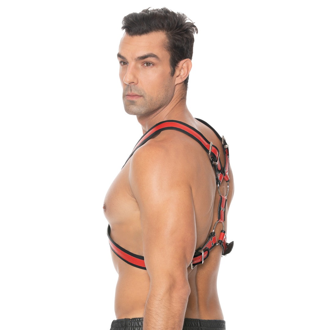 SCOTTISH LEATHER HARNESS - L/XL