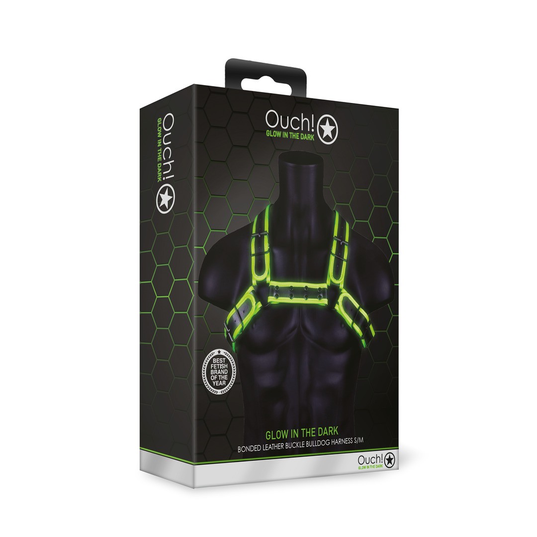 BULLDOG HARNESS WITH BUCKLE - GLOW IN THE DARK - S/M