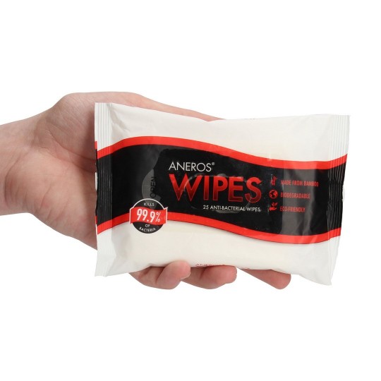 WIPES - ANTI-BACTERIAL - 25 PIECES