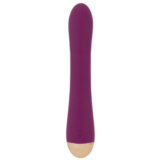 2 FUNCTION VIBRATOR