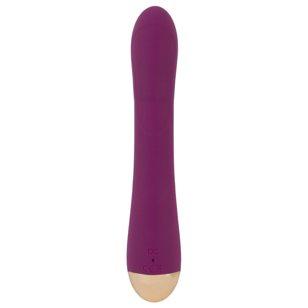 2 FUNCTION VIBRATOR