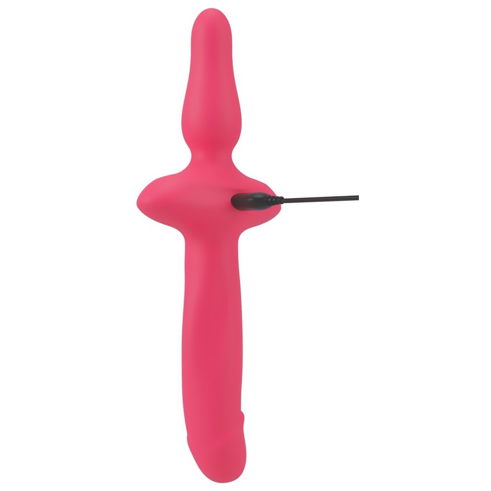 2IN1 VIBRATOR + BUTT PLUG