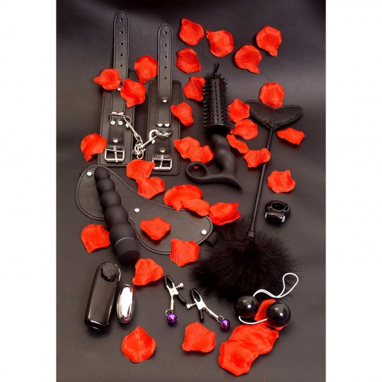 KIT AMAZING PLEASURE SEX TOY TOYJOY