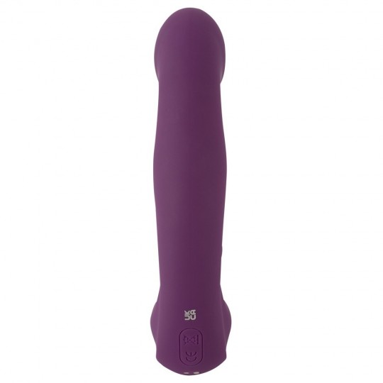 4 FUNCTION VIBRATOR