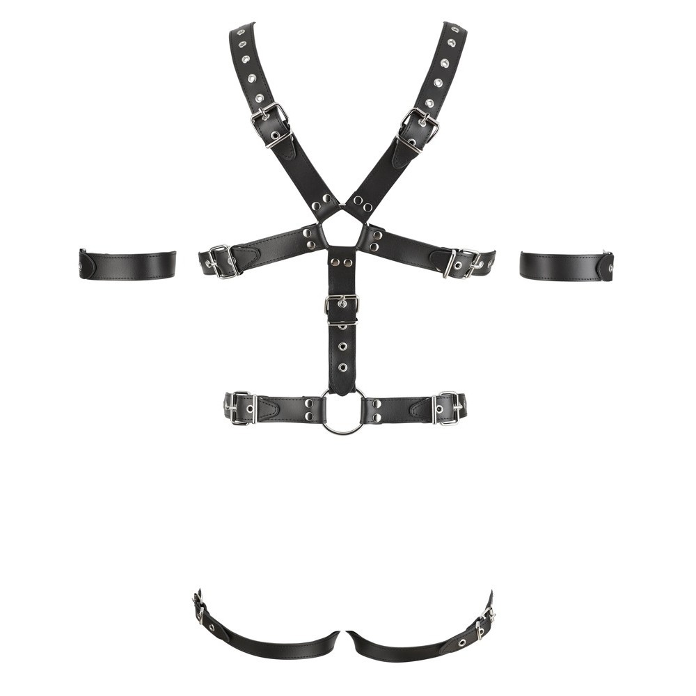 HARNESS