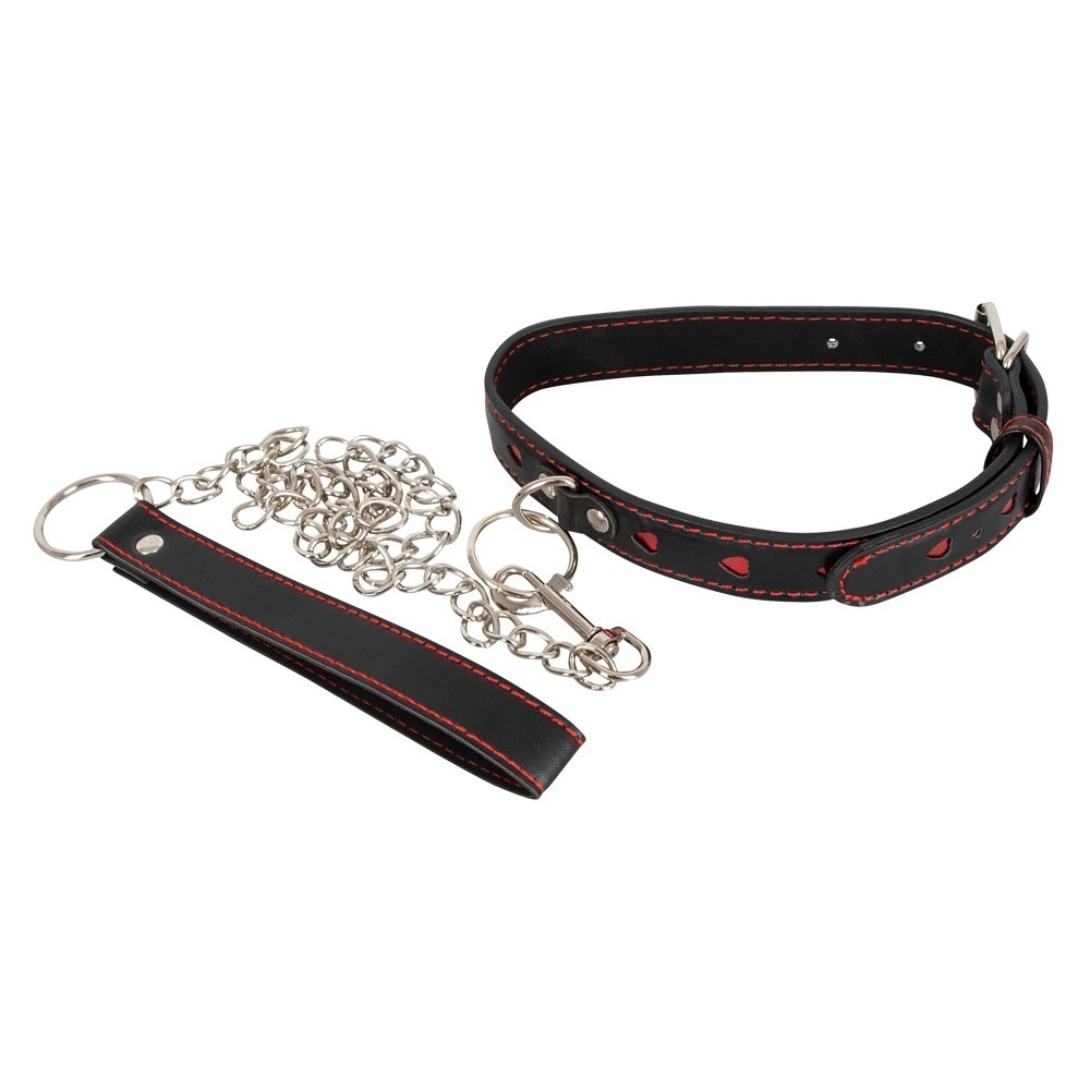 COLLAR AND LEASH