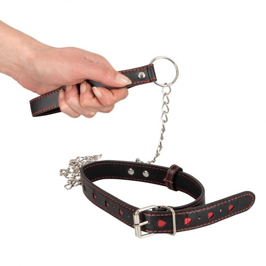 COLLAR AND LEASH