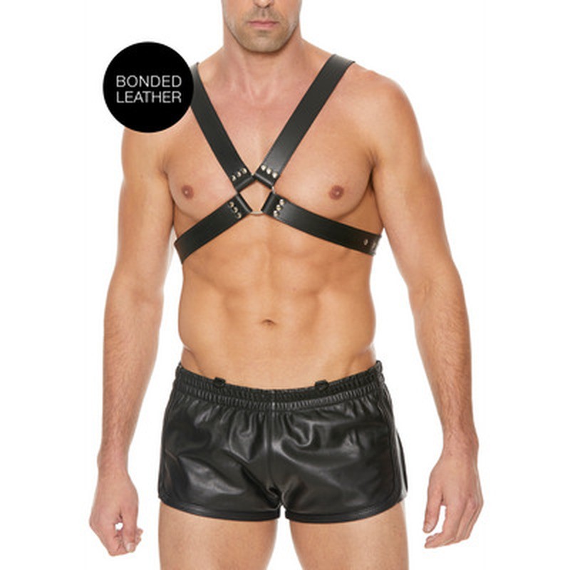 LEATHER HARNESS WITH LARGE BUCKLE - ONE SIZE