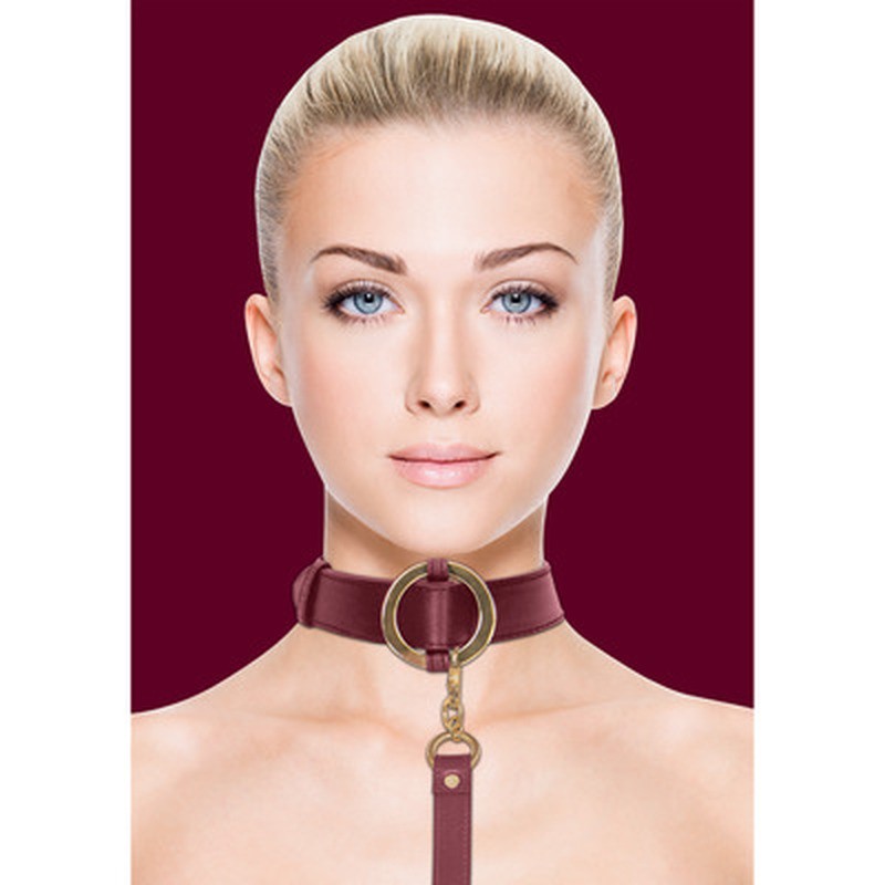 LUXURIOUS COLLAR WITH LEASH